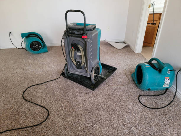  Plymouth, OH Water damage restoration Pros