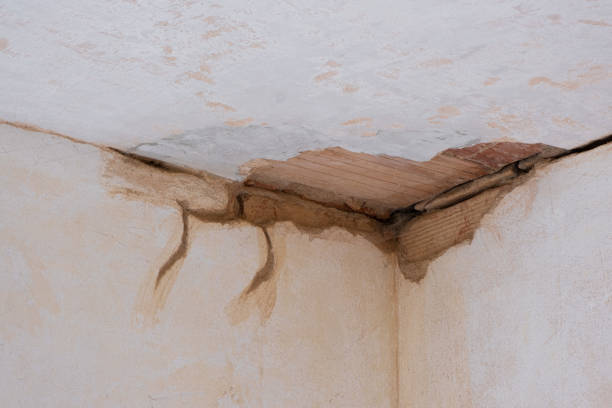Best Water damage restoration near me  in Plymouth, OH