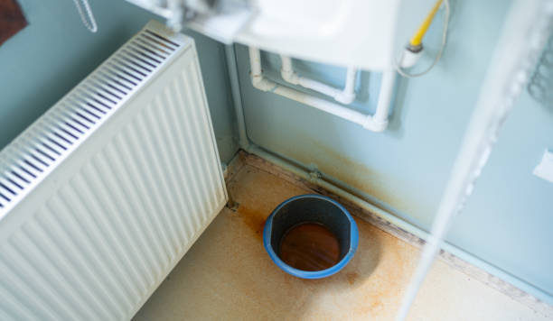 Best Water damage cleanup near me  in Plymouth, OH